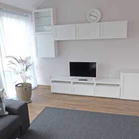 TV-Schrank mit Fernseher und Blume